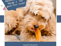 Pawfect Pet Foods Pvt. Ltd. (3) - Serviços de mascotas