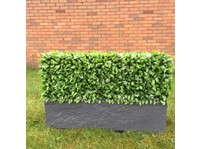 Hedged In Ltd Quality Artificial Hedge Supplier (2) - Tuinierders & Hoveniers