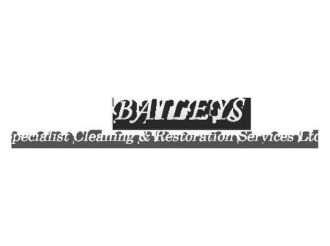 baileys Specialist Cleaning and Restoration Services Ltd - Nettoyage & Services de nettoyage