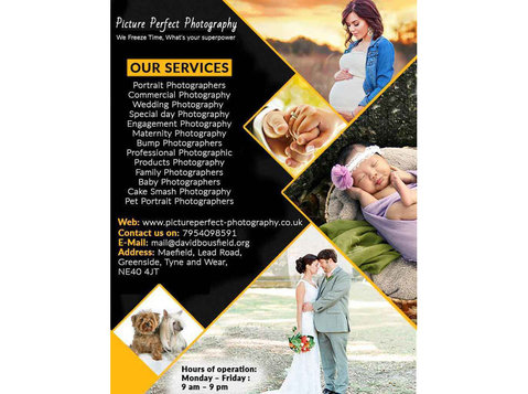Picture Perfect Photography - Photographers