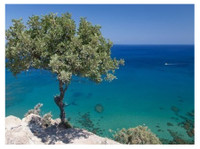 Cyprus Villa Retreats (1) - سفر کے لئے کمپنیاں