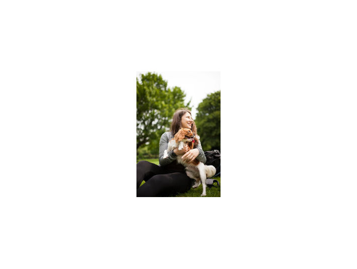 Dog Walking Clapham - Servicios para mascotas