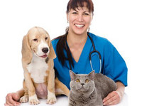 Animal Jobs Direct (2) - Pet services