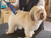 Bows and Bones Pet Grooming (2) - Servicii Animale de Companie