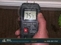 O2 Mold Testing (4) - Property inspection