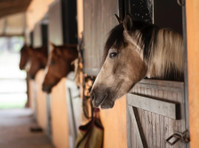 Pastures of Long Grove, Service (1) - Cavalos e estábulos