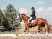 Pastures of Long Grove, Service (2) - Equitation & Ecuries