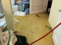 Ucm Carpet Cleaning Scarsdale (5) - Servicios de limpieza