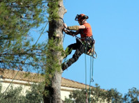 Pro Tree Service of Savannah (1) - Puutarhurit ja maisemointi