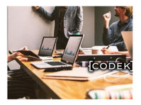 Codek (1) - Веб дизајнери