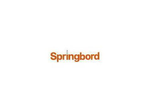 Springbord Systems - Consultancy
