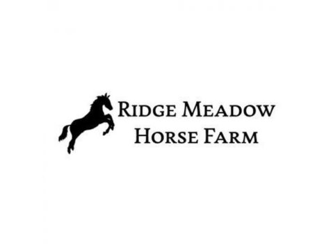 Ridge Meadow Horse Farm - Horses & Riding Stables