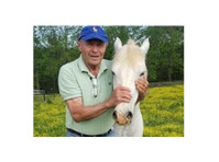 Ridge Meadow Horse Farm (1) - Коне и конюшни