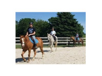 Ridge Meadow Horse Farm (3) - Hevoset ja ratsastustallit