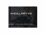 Ancillary K9 Dog Training (3) - Servicii Animale de Companie