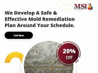 Mold Solutions & Inspections (2) - Construcción & Renovación