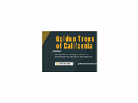 Golden Trees of California (1) - Maison & Jardinage