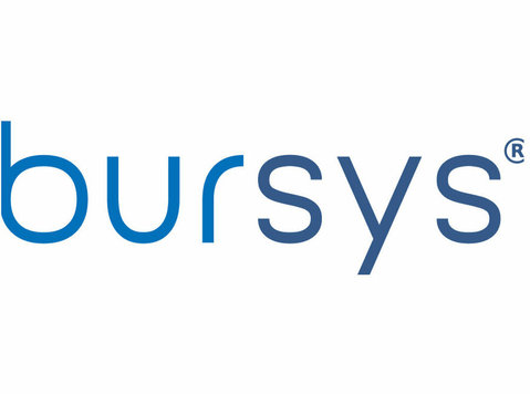Bursys - Consultancy