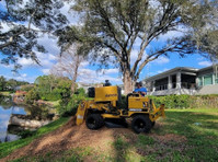 Orlando Stump Grinding Inc. (1) - Gardeners & Landscaping