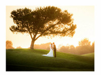 My Pro Wedding (2) - Photographers