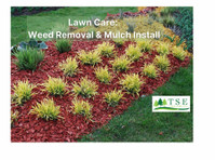 TSE Lawn Care LLC (3) - Home & Garden Services