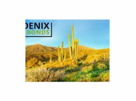 Phoenix Bail Bonds (1) - Адвокати и правни фирми