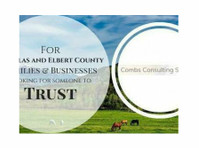 Combs Consulting Services, LLC (1) - Бизнис сметководители
