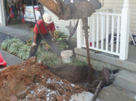 Lexington Foundation Repair Experts (3) - Home & Garden Services
