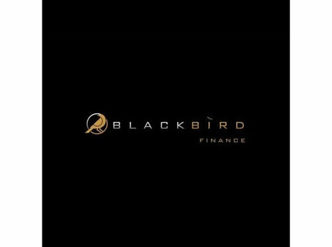 BlackBird Finance - Financial consultants