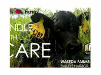Waseda Farms & Country Market (2) - Biopotraviny