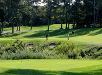 The Captains Golf Course (8) - Golf Clubs & Courses