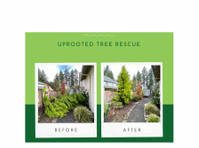 TreeMedics (5) - Κηπουροί & Εξωραϊσμός