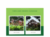 TreeMedics (6) - Zahradník a krajinářství