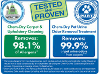Solo Chem-Dry (6) - Limpeza e serviços de limpeza