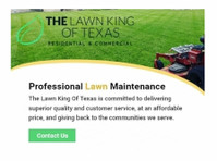 The Lawn King of Texas (3) - Uzkopšanas serviss