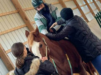 Good Hope Equestrian & Regenerative Farm (2) - Children & Families