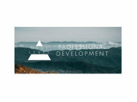 Next Level Professional Development (1) - Treinamento & Formação