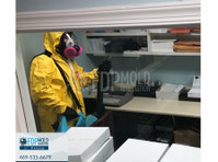Fdp Mold Remediation of Frisco (6) - Cleaners & Cleaning services