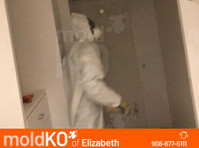 Mold KO of Elizabeth (1) - Servicios de limpieza