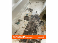 Mold KO of Elizabeth (2) - Почистване и почистващи услуги