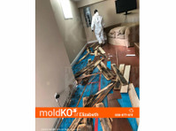Mold KO of Elizabeth (3) - Limpeza e serviços de limpeza