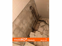 Mold KO of Elizabeth (5) - Schoonmaak