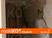 Mold KO of Elizabeth (6) - Uzkopšanas serviss