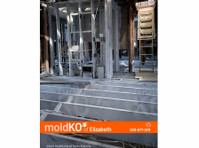 Mold KO of Elizabeth (7) - Schoonmaak