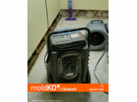 Mold KO of Elizabeth (8) - Καθαριστές & Υπηρεσίες καθαρισμού