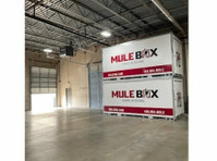 Mule Box (1) - Uzglabāšanas vietas
