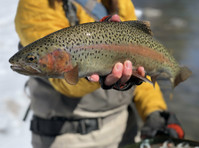 Eagle River Outfitter (4) - Fishing & Angling