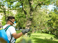 Flower Field Tree Service (1) - Usługi w obrębie domu i ogrodu