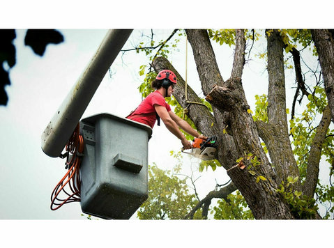 The Peak of Good Living Tree Service - Home & Garden Services