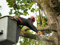 The Peak of Good Living Tree Service (3) - Home & Garden Services